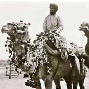 Afghan cameleer in Australia